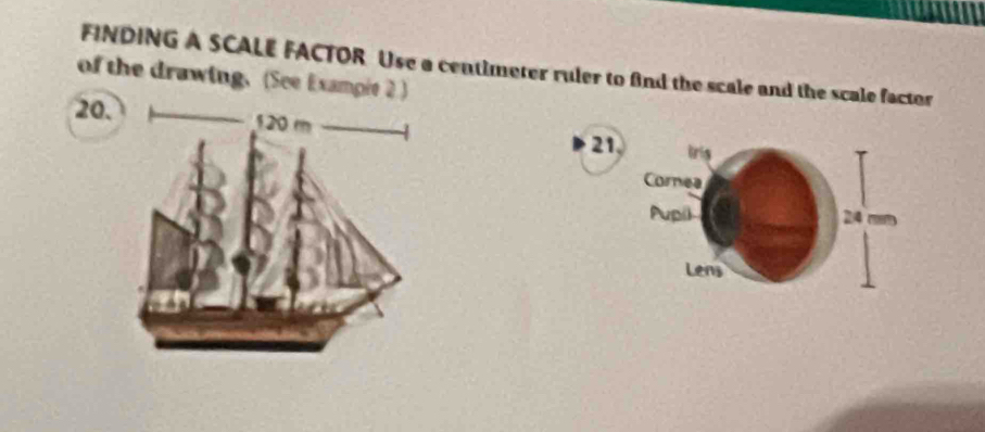 FINDING A SCALE FACTOR Use a centimeter ruler to fnd the scale and the scale factor 
of the drawing. (See Exampie 2 ) 
20. 
21