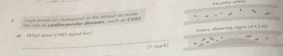 Healthy artery
3 High levels of cholesterol in the blood increase 
the risk of cardiovascular diseases, such as CHD. 
Artery showing signs of CHD 
_ 
a) What does CHD stand for? 
[1 mark]