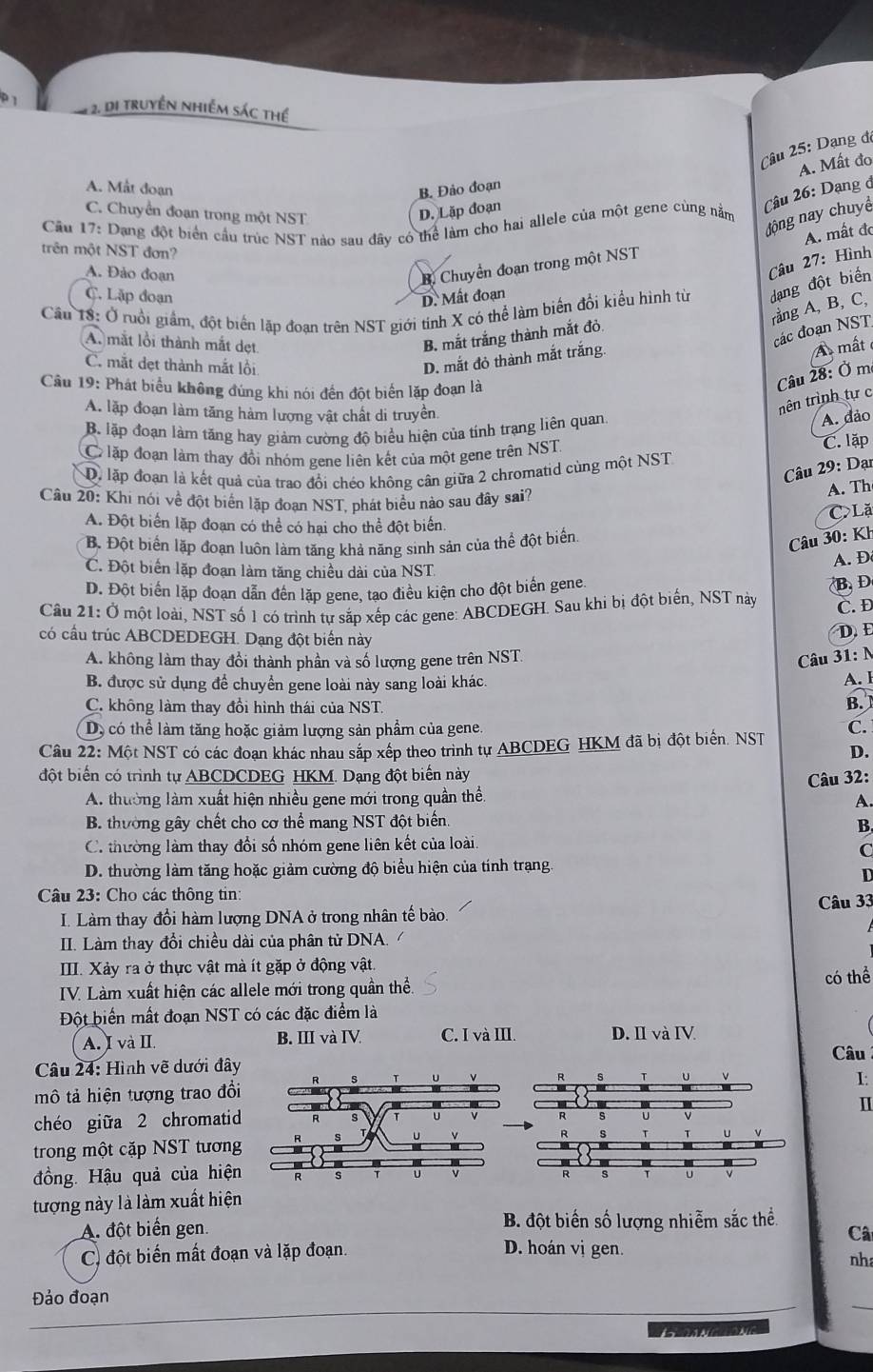 1 2. di truyền nhiểm sác thể
Câu 25: Dạng đó
A. Mất đo
A. Måt đoạn B. Đảo đoạn
C. Chuyển đoạn trong một NST
dộng nay chuy  Câu 26: Dạng ở
D. Lặp đoạn
Cầu 17: Dang đột biển cầu trúc NST nào sau đây có thể làm cho hai allele của một gene cùng nằm
A. mất đ
trên một NST đơn?
A. Đảo đoạn
Câu 27: Hình
B. Chuyển đoạn trong một NST
C. Lặp đoạn D. Mất đoạn
Cầu 18: Ở ruồi giảm, đột biển lặp đoan trên NST giới tính X có thể làm biến đổi kiểu hình từ dạng đột biển
rằng A, B, C,
A. mắt lỗi thành mắt dẹt
các đoạn NST
B. mắt trắng thành mắt đỏ
D. mắt đỏ thành mắt trắng.
A  mất
C. mắt dẹt thành mắt lồi
Câu 19: Phát biểu không đúng khi nói đến đột biển lặp đoạn là
Câu 28: Ở m
A. lặp đoạn làm tăng hàm lượng vật chất di truyền
nên trình tự c
B lập đoạn làm tăng hay giảm cường độ biểu hiện của tính trạng liên quan
A. dảo
C lặp đoạn làm thay đồi nhóm gene liên kết của một gene trên NST
C. lặp
Câu 29: Dại
D. lặp đoạn là kết quả của trao đổi chéo không cân giữa 2 chromatid cùng một NST
Câu 20: Khi nói về đột biển lập đoạn NST, phát biểu nào sau đây sai?
A. Th
C Lặ
A. Đột biển lặp đoạn có thể có hại cho thể đột biển
Bộ Đột biển lặp đoạn luôn làm tăng khả năng sinh sản của thể đột biển
Câu 30: Kh
C. Đột biển lặp đoạn làm tăng chiều dài của NST.
A. D
D. Đột biển lặp đoạn dẫn đến lặp gene, tao điều kiện cho đột biến gene.
B, D
Câu 21: Ở một loài, NST số 1 có trình tư sắp xếp các gene: ABCDEGH. Sau khi bị đột biển, NST này C. Đ
có cầu trúc ABCDEDEGH. Dạng đột biển này
D. E
A. không làm thay đổi thành phần và số lượng gene trên NST.
Câu 31: N
B. được sử dụng để chuyển gene loài này sang loài khác. A. I
C. không làm thay đổi hình thái của NST
B.
D, có thể làm tăng hoặc giảm lượng sản phẩm của gene.
Câu 22: Một NST có các đoạn khác nhau sắp xếp theo trình tự ABCDEG HKM đã bị đột biển. NST C.
D.
đột biến có trình tự ABCDCDEG HKM. Dạng đột biển này
Câu 32:
A. thường làm xuất hiện nhiều gene mới trong quần thể. A.
B. thường gây chết cho cơ thể mang NST đột biến.
B.
C. thường làm thay đổi số nhóm gene liên kết của loài.
C
D. thường làm tăng hoặc giảm cường độ biểu hiện của tính trang.
D
Câu 23: Cho các thông tin:
I. Làm thay đổi hàm lượng DNA ở trong nhân tế bào. Câu 33
II. Làm thay đổi chiều dài của phân tử DNA.
III. Xảy ra ở thực vật mà ít gặp ở động vật.
IV. Làm xuất hiện các allele mới trong quần thể.
có thể
Đột biển mất đoạn NST có các đặc điểm là
A. I và II. B. III và IV C. I và III. D. I và IV
Câu
Câu 24: Hình vẽ dưới đây
mô tả hiện tượng trao đổi 
I:
1
chéo giữa 2 chromatid
trong một cặp NST tương 
đồng. Hậu quả của hiện 
tượng này là làm xuất hiện
A. đột biển gen. B. đột biển số lượng nhiễm sắc thể
Câ
C) đột biến mất đoạn và lặp đoạn. D. hoán vị gen. nha
Đảo đoạn