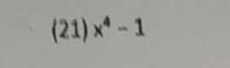 (21) x^4-1