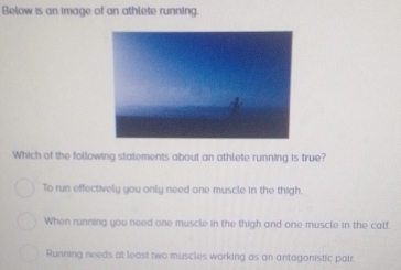 Below is an image of an athlete running.
Which of the following statements about an athlete running is true?
To run effectively you only need one muscle in the thigh.
When running you need one muscle in the thigh and one muscle in the calf.
Running needs at least two muscles working as an antagonistic pair