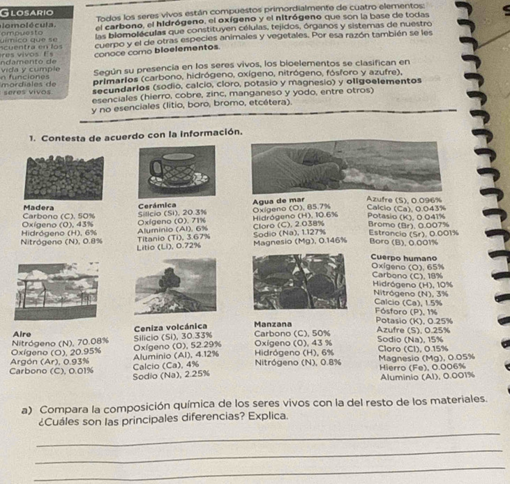 Todos los seres vivos están compuestos primordialmente de cuatro elementos:
Glosario
C o  o l é c u l a el carbono, el hidrógeno, el oxígeno y el nitrógeno que son la base de todas
ompuesto las blomoléculas que constituyen células, tejidos, órganos y sistemas de nuestro
ncuentra en los uímico que se cuerpo y el de otras especies animales y vegetales. Por esa razón también se les
ndamento de conoce como bloelementos.
e  viv     E  
vida y cumpl Según su presencia en los seres vivos, los bioelementos se clasifican en
n funciones primarlos (carbono, hidrógeno, oxígeno, nitrógeno, fósforo y azufre),
r         d secundarlos (sodio, calcio, cloro, potasio y magnesio) y oligoelementos
seres vivos.
esenciales (hierro, cobre, zinc, manganeso y yodo, entre otros)
y no esenciales (litio, boro, bromo, etcétera).
1. Contesta de acuerdo con la información.
Madera Cerámica
Carbono (C), 50% Sillcio (Si), 20.3% Agua de mar Azufre (S), 0.096%
Oxígeno (0), 43% Oxígeno (O), 71% Oxígeno (O), 85.7% Calcio (Ca), 0.043%
Hidrógeno (H), 6% Aluminio (Al), 6%  Hidrógeno (H), 10.6% Potasio (K), 0.041%
Cloro (C), 2.038% Bromo (Br), 0.007%
Nitrógeno (N), 0.8% Titanio (Ti), 3.67% Sodio (Na), 1.127% Estroncio (Sr), 0.001%
Litio (Li), 0.72% Magnesio (Mg), 0.146% Boro (B), 0.001%
Cuerpo humano
Oxígeno (O), 65%
Carbono (C), 18%
Hidrógeno (H), 10%
Nitrógeno (N), 3%
Calcio (Ca), 1.5%
Fósforo (P), 1%
Aire Ceniza volcánica Manzana
Potasio (K), 0.25%
Nitrógeno (N), 70.08% Silicio (Si), 30.33% Carbono (C), 50%
Azufre (S), 0.25%
Oxígeno (O), 20.95%  Oxígeno (0), 52.29% Oxigeno (0), 43 % Sodio (Na), 15%
Argón (Ar), 0.93% Aluminio (Al), 4.12%  Hidrógeno (H), 6% Cloro (CI), 0.15%
Magnesio (Mg), 0.05%
Carbono (C), 0.01% Calcio (Ca), 4%  Nitrógeno (N), 0.8% Hierro (Fe), 0.006%
Sodio (Na), 2.25%
Aluminio (AI), 0.001%
a) Compara la composición química de los seres vivos con la del resto de los materiales.
_
¿Cuáles son las principales diferencias? Explica.
_
_