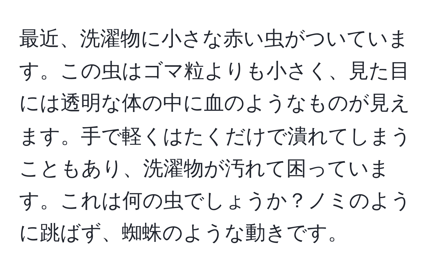 最近、洗濯物に小さな赤い虫がついています。この虫はゴマ粒よりも小さく、見た目には透明な体の中に血のようなものが見えます。手で軽くはたくだけで潰れてしまうこともあり、洗濯物が汚れて困っています。これは何の虫でしょうか？ノミのように跳ばず、蜘蛛のような動きです。