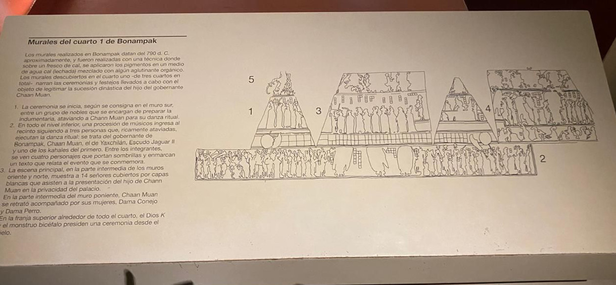 Murales del cuarto 1 de Bonampak 
Los murales realizados en Bonampak datan del 790 d. C 
aproximadamente, y fueron realizadas con una técnica 
sobre un fresco de cal, se aplicaron los pigmentos en un 
de agua cal (lechada) mezclado con algún aglutinante or 
Los murales descubiertos en el cuarto uno -de tres cuar 
total- narran las ceremonias y festejos llevados a cabo c 
objeto de legitimar la sucesión dinástica del hijo del gobe 
Chaan Muan. 
1. La ceremonia se inicia, según se consigna en el muro 
entre un grupo de nobles que se encargan de preparar 
indumentaria, ataviando a Chann Muan para su danza 
2. En todo el nível inferior, una procesión de músicos ingr 
recinto siguiendo a tres personas que, ricamente atavia 
elecutan la danza ritual: se trata del gobernante de 
Bonampak, Chaan Muan, el de Yaxchilán, Escudo Jagu 
y uno de los kahales del primero. Entre los integrantes. 
se ven cuatro personajes que portan sombrillas y enmar 
un texto que relata el evento que se conmemora 
3. La escena principal, en la parte intermedia de los muros 
oriente y norte, muestra a 14 señores cubiertos por capa 
blancas que asisten a la presentación del hijo de Chann 
Muan en la privacidad del palacio. 
En la parte intermedia del muro poniente, Chaan Muan 
se retrató acompañado por sus mujeres, Dama Conejo 
y Dama Perro. 
En la franja superíor alrededor de todo el cuarto, el Dios K 
el monstruo bicéfalo presiden una ceremonia desde el 
elo.