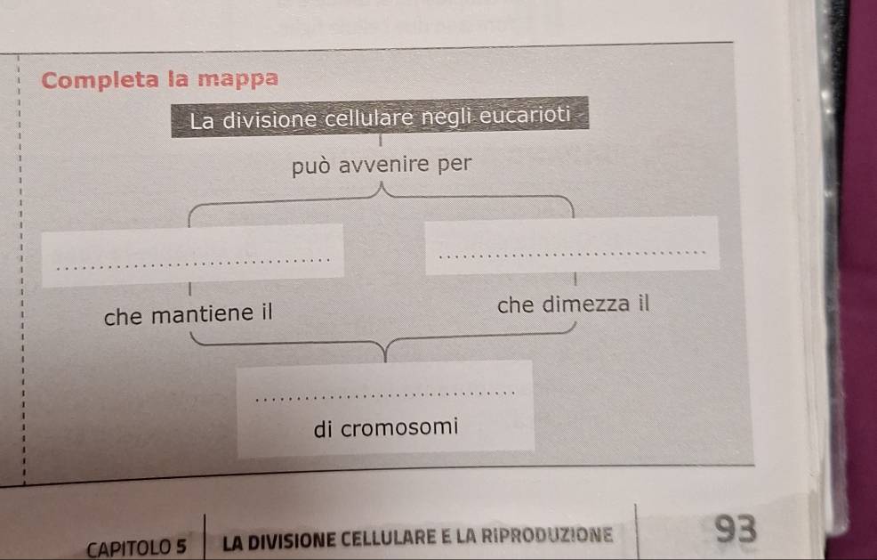 Completa la mappa 
La divisione cellulare negli eucarioti 
può avvenire per 
_ 
che mantiene i che dimezza il 
_ 
_ 
di cromosomi 
CAPITOLO 5 LA DIVISIONE CELLULARE E LA RIPRODUZIONE 93