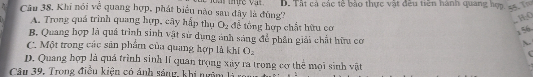 loài thực vật. D. Tất cá các tế bảo thực vật đều tiên hành quang hợp. 35. T
Câu 38. Khi nói về quang hợp, phát biểu nào sau đây là đúng?
_HO
A. Trong quá trình quang hợp, cây hấp thụ O_2 để tổng hợp chất hữu cơ
156.
B. Quang hợp là quá trình sinh vật sử dụng ánh sáng để phân giải chất hữu cơ
A.
C. Một trong các sản phẩm của quang hợp là khí O_2
D. Quang hợp là quá trình sinh lí quan trọng xảy ra trong cơ thể mọi sinh vật
Câu 39. Trong điều kiện có ánh sáng, khi ngâm lá