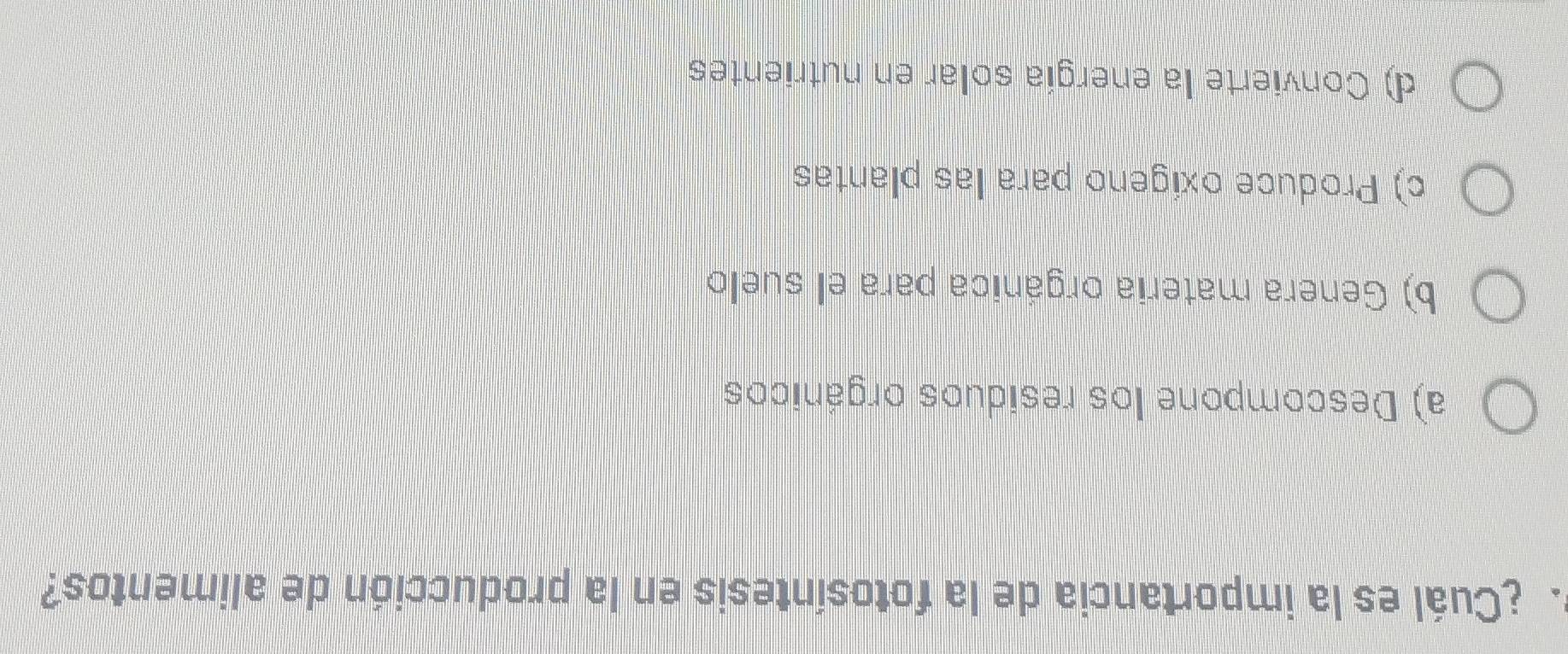 ¿Cuál es la importancia de la fotosíntesis en la producción de alimentos?
a) Descompone los residuos orgánicos
b) Genera materia orgánica para el suelo
c) Produce oxigeno para las plantas
d) Convierte la energía solar en nutrientes