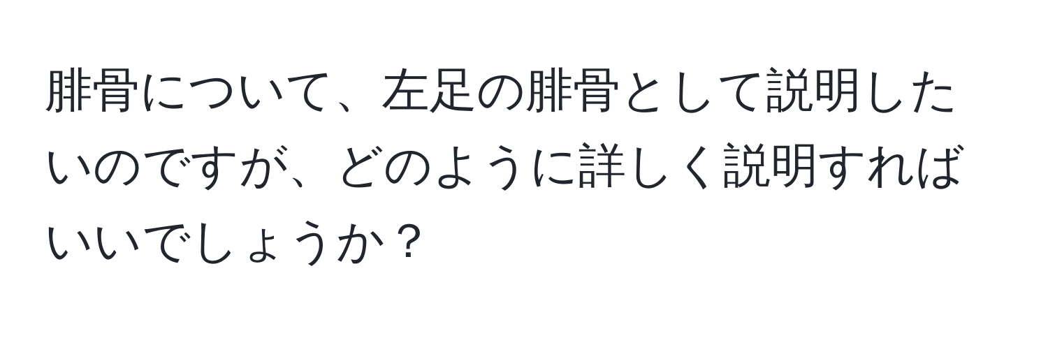 腓骨について、左足の腓骨として説明したいのですが、どのように詳しく説明すればいいでしょうか？