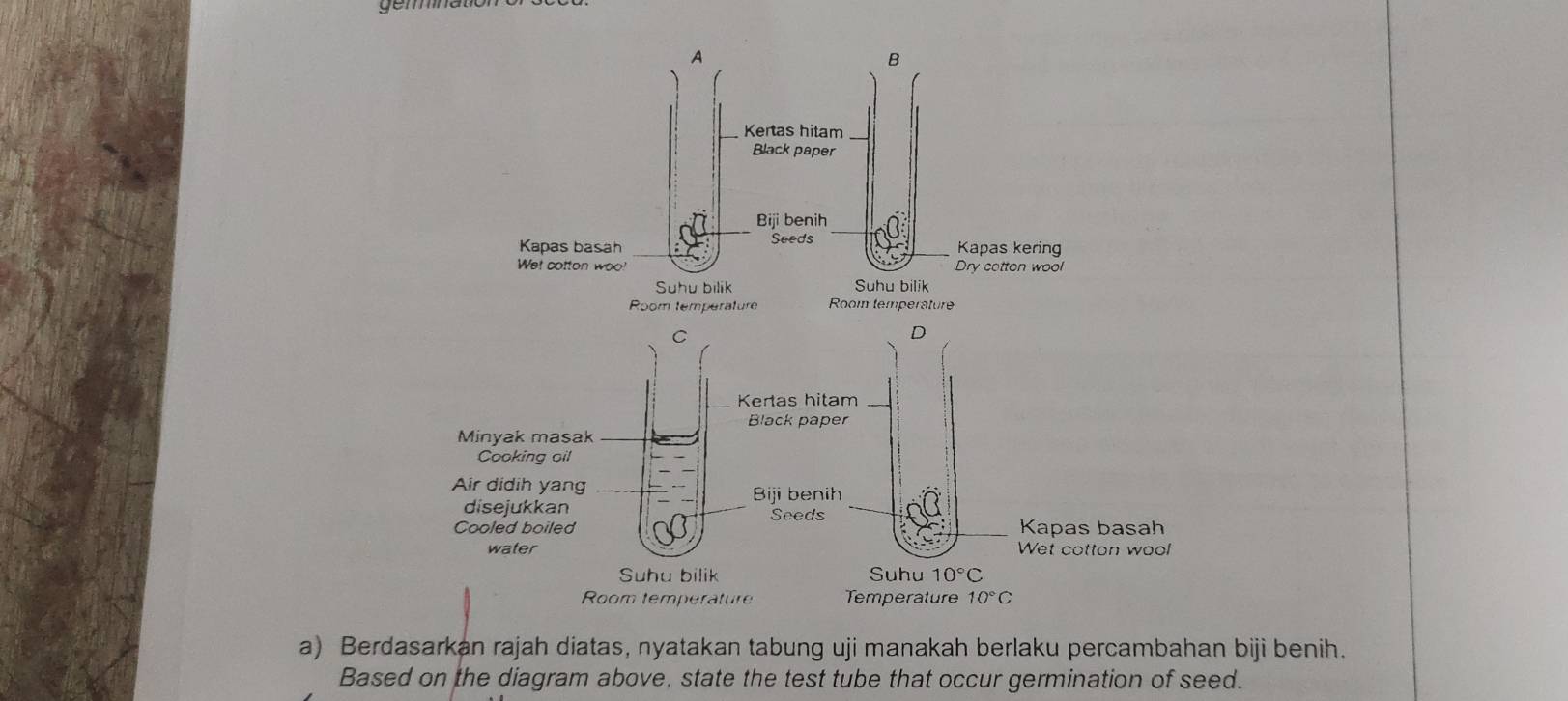 gem
a) Berdasarkan rajah diatas, nyatakan tabung uji manakah berlaku percambahan biji benih.
Based on the diagram above, state the test tube that occur germination of seed.