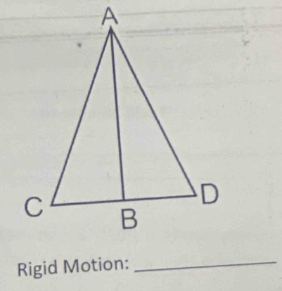 Rigid Motion:_