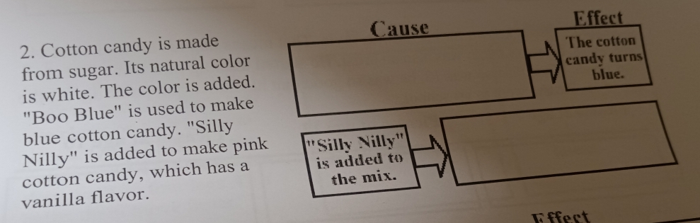 Cause Effect 
2. Cotton candy is made 
The cotton 
from sugar. Its natural color 
blue. 
is white. The color is added. candy turns 
"Boo Blue" is used to make 
blue cotton candy. "Silly 
Nilly" is added to make pink Silly Nilly" 
cotton candy, which has a is added to 
vanilla flavor. the mix. 
Effect