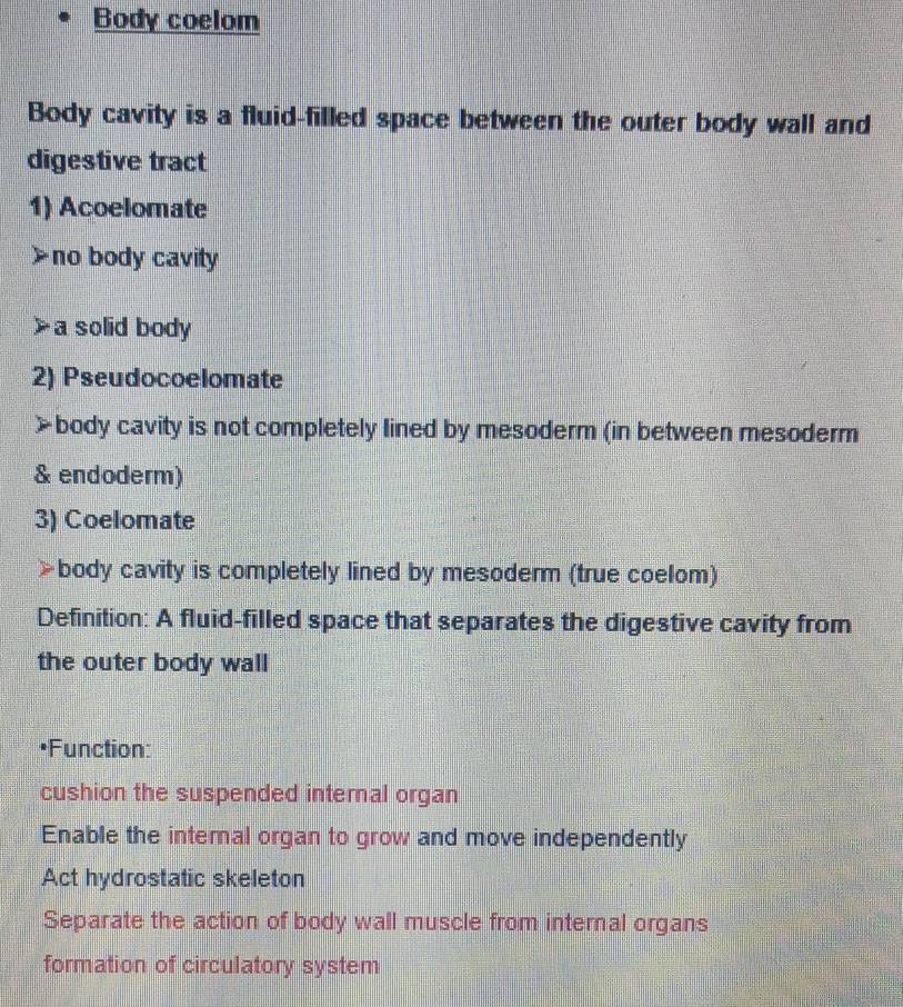 Body coelom
Body cavity is a fluid-filled space between the outer body wall and
digestive tract
1) Acoelomate
no body cavity
a solid body
2) Pseudocoelomate
body cavity is not completely lined by mesoderm (in between mesoderm
& endoderm)
3) Coelomate
body cavity is completely lined by mesoderm (true coelom)
Definition: A fluid-filled space that separates the digestive cavity from
the outer body wall
•Function:
cushion the suspended internal organ
Enable the internal organ to grow and move independently
Act hydrostatic skeleton
Separate the action of body wall muscle from internal organs
formation of circulatory system