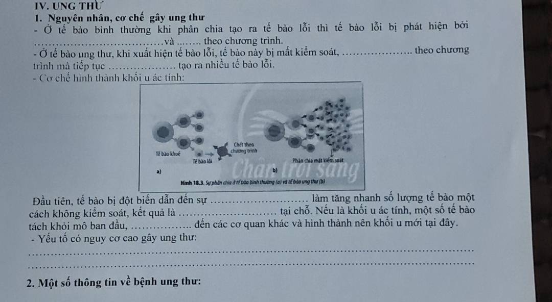 UNG THư 
1. Nguyên nhân, cơ chế gây ung thư 
- Ở tế bào bình thường khi phân chia tạo ra tế bào lỗi thì tế bào lỗi bị phát hiện bởi 
_ và ...….. theo chương trình. 
- Ở tế bào ung thư, khi xuất hiện tế bào lỗi, tế bào này bị mất kiểm soát, _theo chương 
trình mà tiếp tục _. . tạo ra nhiều tế bào lỗi. 
- Cơ chế hình thành khối u ác tính: 
Đầu tiên, tế bào bị đột biến dẫn đến sự _làm tăng nhanh số lượng tế bào một 
cách không kiểm soát, kết quả là _tại chỗ. Nếu là khối u ác tính, một số tế bào 
tách khỏi mô ban đầu, _đến các cơ quan khác và hình thành nên khối u mới tại đây. 
_ 
- Yếu tố có nguy cơ cao gây ung thư: 
_ 
2. Một số thông tin về bệnh ung thư: