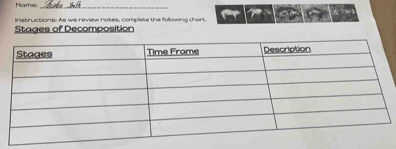 Name: 
_ 
Instructions: As we review notes, complete the following chart. 
Stages of Decomposition