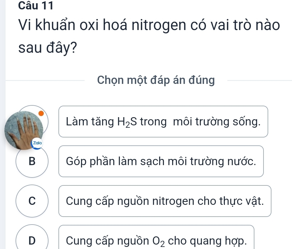 Vi khuẩn oxi hoá nitrogen có vai trò nào
sau đây?
Chọn một đáp án đúng
Làm tăng H_2S trong môi trường sống.
Zalo
B Góp phần làm sạch môi trường nước.
C Cung cấp nguồn nitrogen cho thực vật.
D Cung cấp nguồn O_2 cho quang hợp.