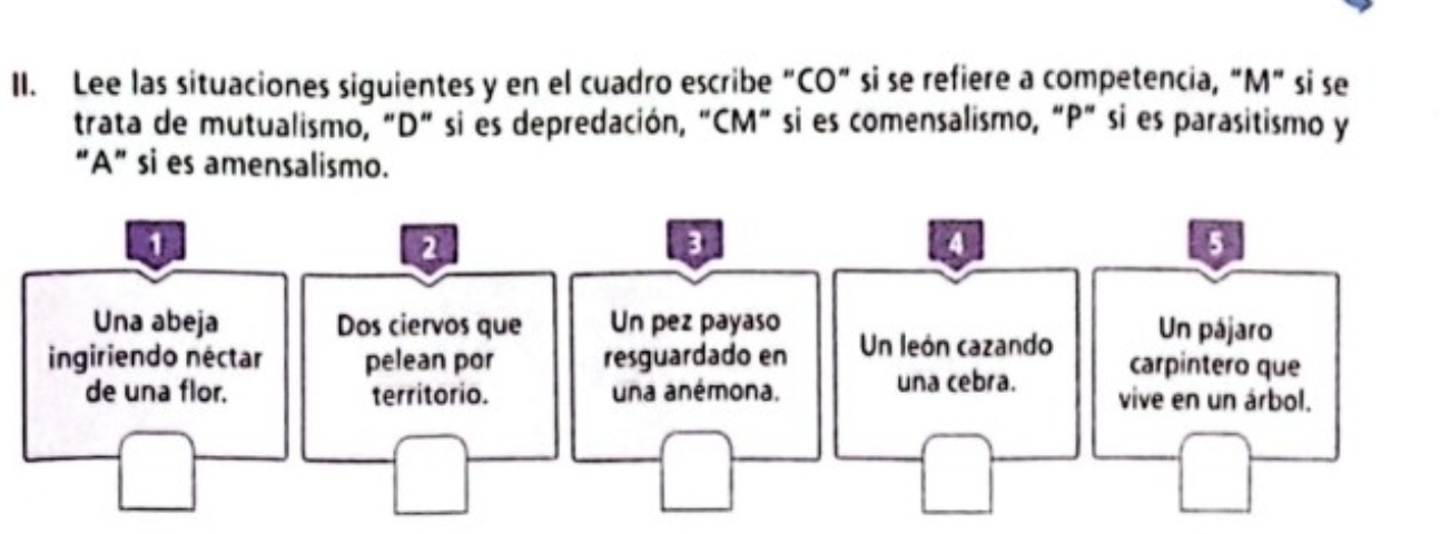 Lee las situaciones siguientes y en el cuadro escribe “CO” si se refiere a competencia, “ M ” si se 
trata de mutualismo, "D" si es depredación, "CM" si es comensalismo, “ P" si es parasitismo y 
“ A ” si es amensalismo. 
1 
2 
3 
5 
Una abeja Dos ciervos que Un pez payaso Un pájaro 
ingiriendo néctar pelean por resguardado en Un león cazando carpintero que 
de una flor. territorio. una anémona. una cebra. vive en un árbol.