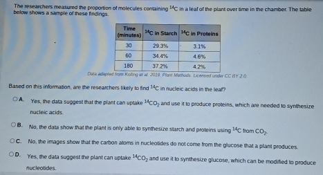 The researchers measured the proportion of molecules containing^(14)C in a leaf of the plant over time in the chamber. The table
below shows a sample of these findings.
Data adapted from Kolling er al 2019. Plant Methods. Licensed under CC BY 2.0
Based on this information, are the researchers likely to find^(14)C in nucleic acids in the leaf?
A. Yes, the data suggest that the plant can uptake^(14)CO_2 and use it to produce proteins, which are needed to synthesize
nucleic acids
B. No, the data show that the plant is only able to synthesize starch and proteins using^(14)C from CO_2
C. No, the images show that the carbon atoms in nucleotides do not come from the glucose that a plant produces.
D. Yes, the data suggest the plant can uptake^(14)CO_2 and use it to synthesize glucose, which can be modified to produce
nucleotides.