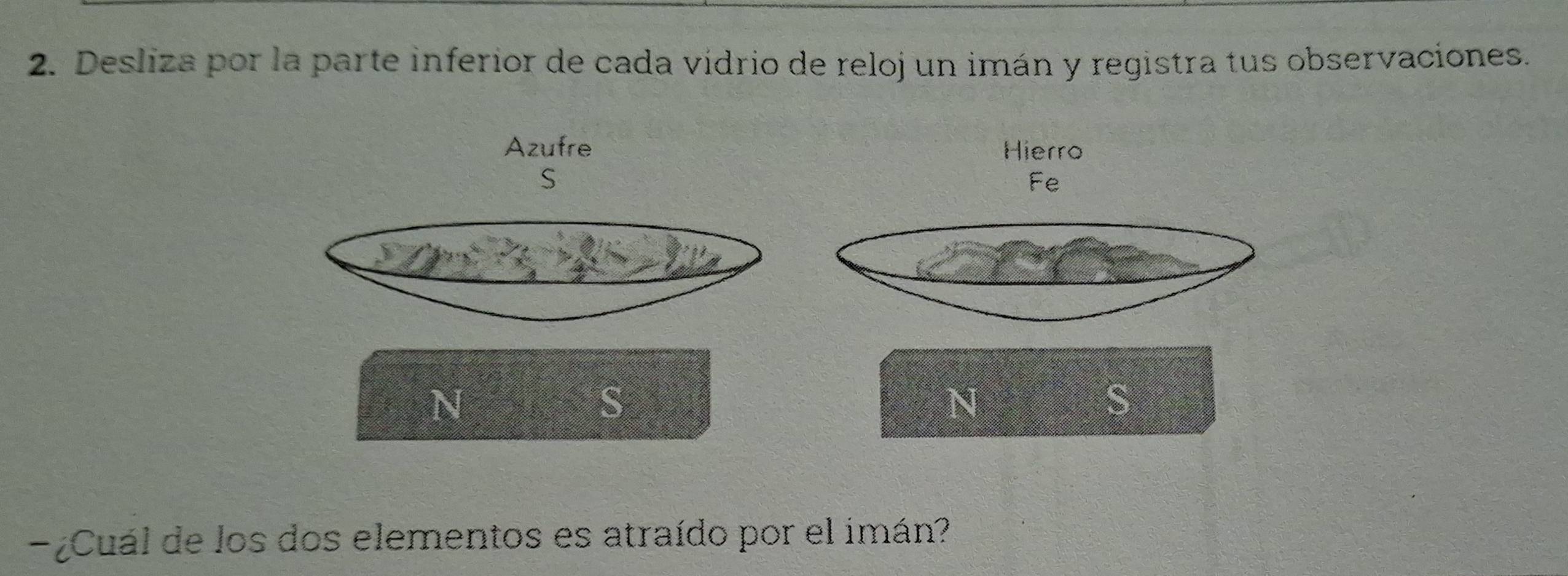 Desliza por la parte inferior de cada vídrio de reloj un imán y registra tus observaciones. 
Azufre Hierro 
S 
Fe 
N 
S 
N 
S 
¿Cuál de los dos elementos es atraído por el imán?