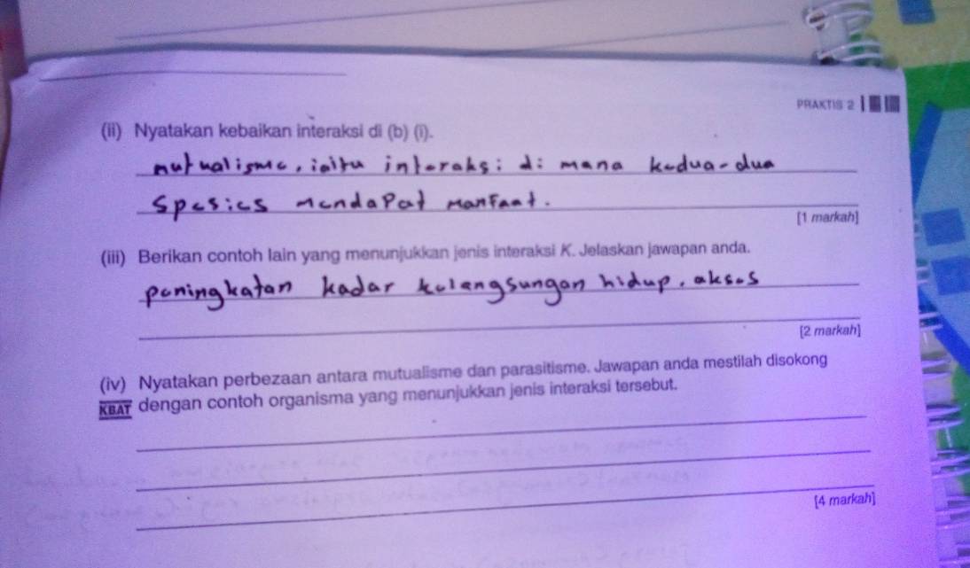 PRAKTIS 2 
(ii) Nyatakan kebaikan interaksi di (b) (i). 
_ 
_ 
[1 markah] 
(iii) Berikan contoh lain yang menunjukkan jenis interaksi K. Jelaskan jawapan anda. 
_ 
_ 
[2 markah] 
(iv) Nyatakan perbezaan antara mutualisme dan parasitisme. Jawapan anda mestilah disokong 
_ 
KEA dengan contoh organisma yang menunjukkan jenis interaksi tersebut. 
_ 
_ 
[4 markah]