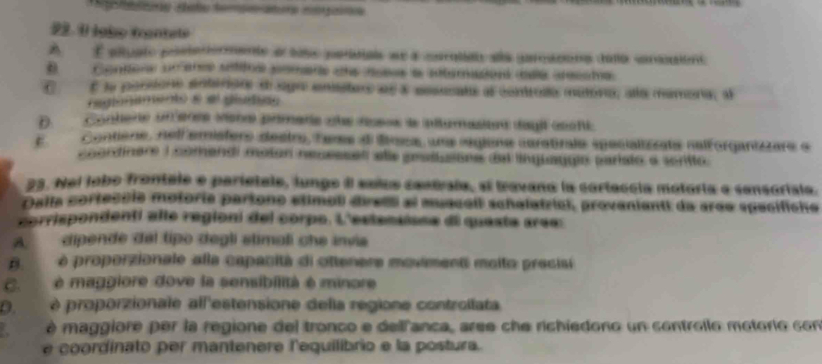 taa dato teme aoe magoa
22. 1l labo trantelo
A É altuato pelstatormente e sole peroias se a caralidn als prsions deo cancaient
B Contera un erce stitos pomere the noese a sntemations iaa aecste
E E la pororo entóriore dsgo enistors ae a eesunate al controdo matora, ala mamora, al
regionamento e el gludido
D.Contere oftenee visna prmatíe ule rosos la pltumasiton dagi ceoñi.
E Contione, nelf emistero destro, fars d Sinsa, una regione cerstrale specializzats nelforganizzare o
coordinere I comandi moton necessen ale gesitusone dal lnquaggin paristo a scritto.
23. Nei jabo frantale e partetale, lungo Il sxlua cantrala, sl travana la corteccia motoria e censorisla.
Dalla corteccie motorie partono etimoli diell el muscell schalatricl, provanianti da aree specifiche
corrispondenti alle regioni del corpo. L'estensisne di queste ares:
A. dipende del tipo degli stimali che invia
B. è proporzionale alla capacità di ottenere movimenti moito precisi
C. è maggiore dove la sensibilità é minore
D. è proporzionale all'estensione della regione controllata
é maggiore per la regione del tronco e dellanca, aree che richiedono un controilo motorio con
e coordinato per mantenere l'equilibrio e la postura.