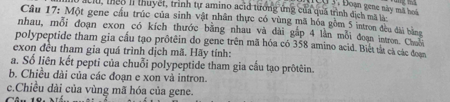 Vùng t 
C03, Đoạn gene này mã hoá 
acld, theo li thuyết, trình tự amino acid tướng ứng của quá trình dịch mã là 
Câu 17: Một gene cấu trúc của sinh vật nhân thực có vùng mã hóa gồm 5 intron đều dài bằng 
nhau, mỗi đoạn exon có kích thước bằng nhau và dài gấp 4 lần mỗi đoạn intron. Chuỗi 
polypeptide tham gia cấu tạo prôtêin do gene trên mã hóa có 358 amino acid. Biết tất cả các đoạn 
exon đều tham gia quá trình dịch mã. Hãy tính: 
a. Số liên kết pepti của chuỗi polypeptide tham gia cấu tạo prôtêin. 
b. Chiều dài của các đoạn e xon và intron. 
c.Chiều dài của vùng mã hóa của gene.