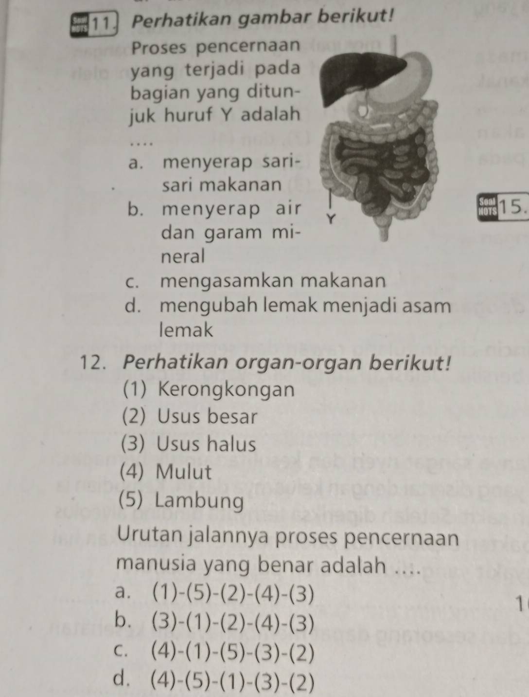 Perhatikan gambar berikut!
Proses pencernaan
yang terjadi pada
bagian yang ditun-
juk huruf Y adalah
…
a. menyerap sari-
sari makanan
b. menyerap air15.
dan garam mi-
neral
c. mengasamkan makanan
d. mengubah lemak menjadi asam
lemak
12. Perhatikan organ-organ berikut!
(1) Kerongkongan
(2) Usus besar
(3) Usus halus
(4) Mulut
(5) Lambung
Urutan jalannya proses pencernaan
manusia yang benar adalah ....
a. (1)-(5)-(2)-(4)-(3)
1
b. (3)-(1)-(2)-(4)-(3)
C. (4)-(1)-(5)-(3)-(2)
d. (4)-(5)-(1)-(3)-(2)