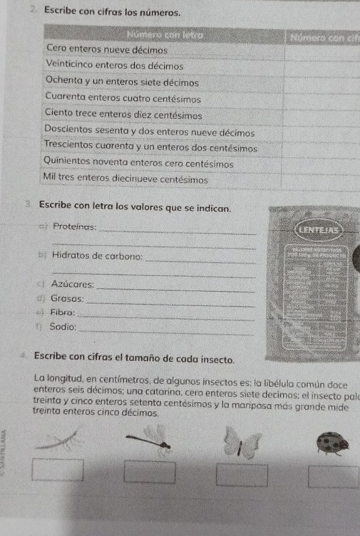 Escribe con cifras los números. 
cih 
3 Escribe con letra los valores que se indican. 
=Proteínas: _LENTEIAS 
_ 
_ 
Hidratos de carbono: 
_ 
Azúcares: 
_ 
( Grasas: 
_ 
Fibra: 
_ 
_ 
( Sodio: 
* Escribe con cifras el tamaño de cada insecto. 
La longitud, en centímetros, de algunos insectos es: la libélula común doce 
enteros seis décimos; una catarína, cero enteros siete decimos; el insecto pala 
treinta y cinco enteros setenta centésimos y la mariposa más grande mide 
treinta enteros cinco décimos.