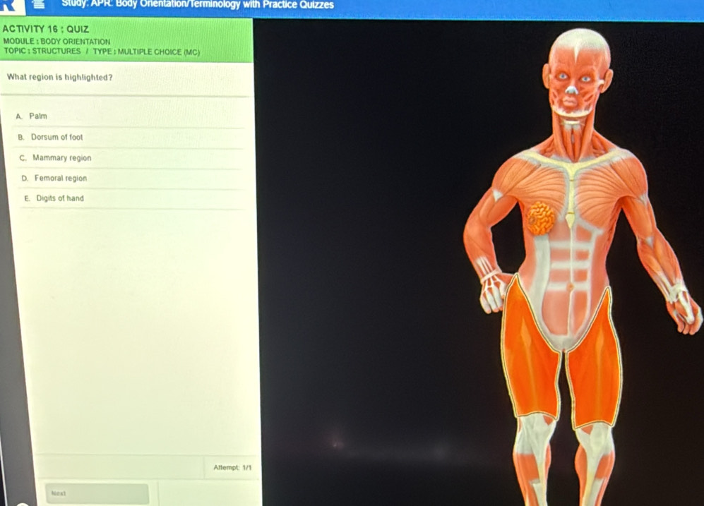 Solved: Study: APR: Body Onentation/Terminology with Practice Quizzes ...