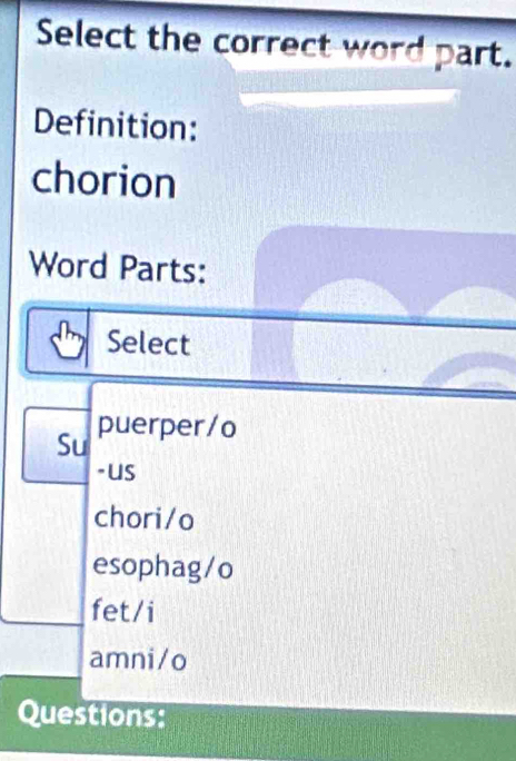 Select the correct word part.
Definition:
chorion
Word Parts:
Select
Su puerper/o
-us
chori/o
esophag/o
fet/i
amni/o
Questions: