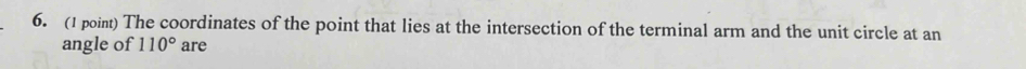 The coordinates of the point that lies at the intersection of the terminal arm and the unit circle at an 
angle of 110° are