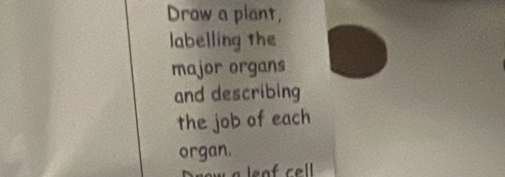 Draw a plant, 
labelling the 
major organs 
and describing 
the job of each 
organ.