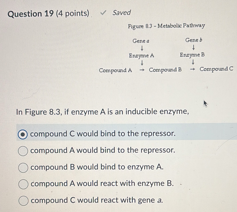 Solved: Saved Figure 8.3 - Metabolic Pathway Gene a Gene b Enzyme A ...