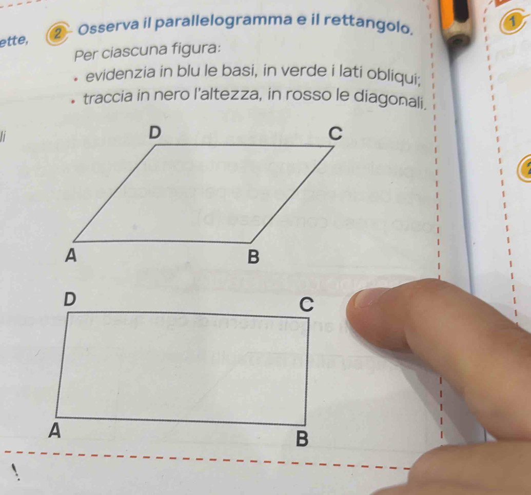 ette, 
② - Osserva il parallelogramma e il rettangolo. 
1 
Per ciascuna figura: 
evidenzia in blu le basi, in verde i lati obliqui; 
traccia in nero l'altezza, in rosso le diagonali.