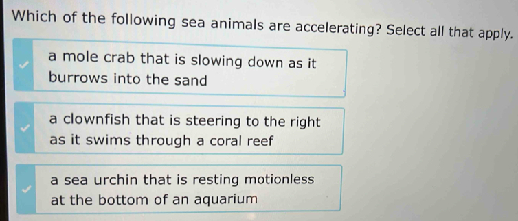 Which of the following sea animals are accelerating? Select all that apply.
a mole crab that is slowing down as it 
burrows into the sand
a clownfish that is steering to the right
as it swims through a coral reef
a sea urchin that is resting motionless
at the bottom of an aquarium