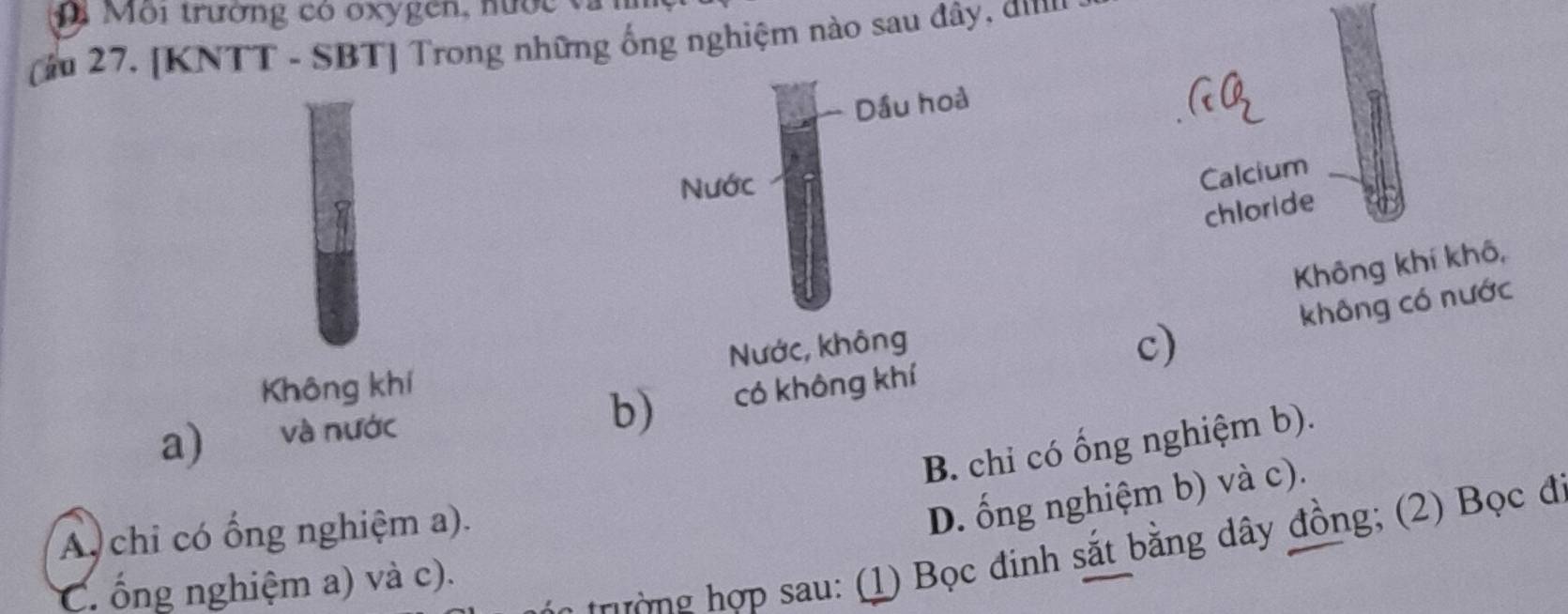 Môi trường có oxygen, nước
à 27. [KNTT - SBT] Trong những ống nghiệm nào sau đây, 
Calcium
chloride
Không khí khô,
không có nước
Không khí
c)
b) có không khí
a) và nước
B. chỉ có ống nghiệm b).
A, chi có ống nghiệm a).
D. ống nghiệm b) và c).
o trường hợp sau: (1) Bọc đinh sắt bằng dây đồng; (2) Bọc đ
C. ống nghiệm a) và c).