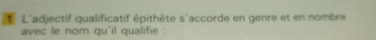 L'adjectif qualificatif épithète s'accorde en genre et en nombre 
avec le nom qu'il qualifie :