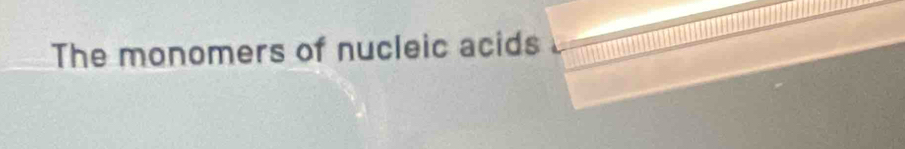 The monomers of nucleic acids