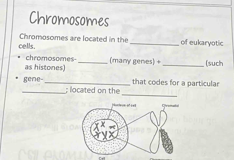 Chromosomes 
Chromosomes are located in the _of eukaryotic 
cells. 
chromosomes- _(many genes) + 
as histones) 
_(such 
gene- _that codes for a particular 
_ 
_; located on the 
Cell