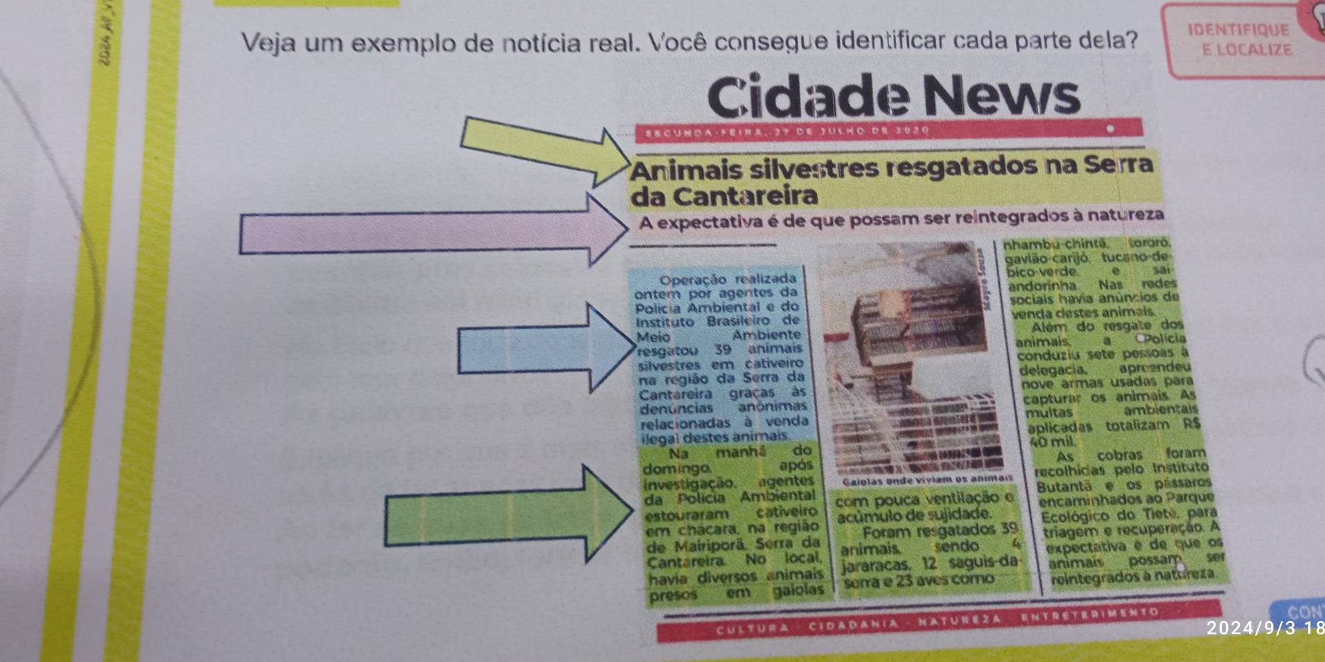 IDENTIFIQUE
Veja um exemplo de notícia real. Você consegue identificar cada parte dela? E LOCALIZE
Cidade News
S E C  U  N  A - F E 1   . 2 7 D E 3U S H D  R 30 2 0
*Animais silvestres resgatados na Serra
da Cantareira
A expectativa é de que possam ser reintegrados à natureza
nhambu chintã tororó.
gavião carijó, tucano de
Operação realizada bico verdee
ontem por agentes da andorinha Nas redes
Polícia Ambiental e do sociais havia anúncios de
Instituto Brasileiro de venca clestes animais
Meio Ambiente Além do resgate dos
resgatou 39 animas animais a Polícia
silvestres em cativeiro conduziu sete pessoas à
na região da Serra da delegacía. aproendeu
Cantareira graças às nove armas usadas para
denúncias anônimas capturar os animais. As
relacionadas à venda multas ambientais
ilegal destes animais aplicadas totalizam R$
Na manhã do 40 mil.
domingo. após As cobras foram
investigação. agentes Gaiolas ende viviam os animais recolhídas pelo Instituto
da Polícia Ambiental com pouca ventilação o Butantã e os pássaros
estouraram cativeiro acúmulo de sujidade. encaminhados ao Parque
em chácara, na região Foram resgatados 39  Ecológico do Tieté, para
de Mairiporã. Serra da animais sendo 4 triagem e recuperação. A
Cantareira No local, expectativa é de que os
havia diversos animaís jararacas. 12 saguis-da animais possam ser
presos em gaiolas senra e 23 aves como reintegrados à natureza
Cul tura CiDa dania - Nature za  Entreterim ento
cON
2024/9/3 18