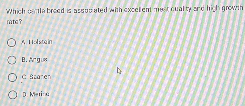 Which cattle breed is associated with excellent meat quality and high growth
rate?
A. Holstein
B. Angus
C. Saanen
D. Merino