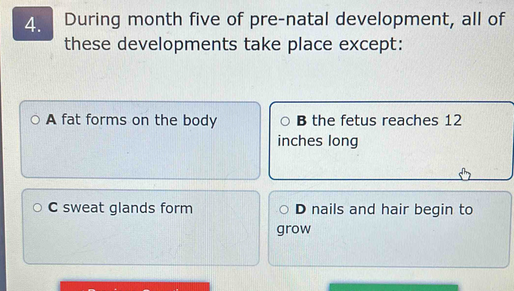 During month five of pre-natal development, all of
these developments take place except:
A fat forms on the body B the fetus reaches 12
inches long
C sweat glands form D nails and hair begin to
grow