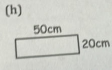 50cm
20cm