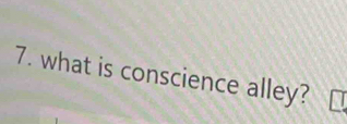 what is conscience alley?