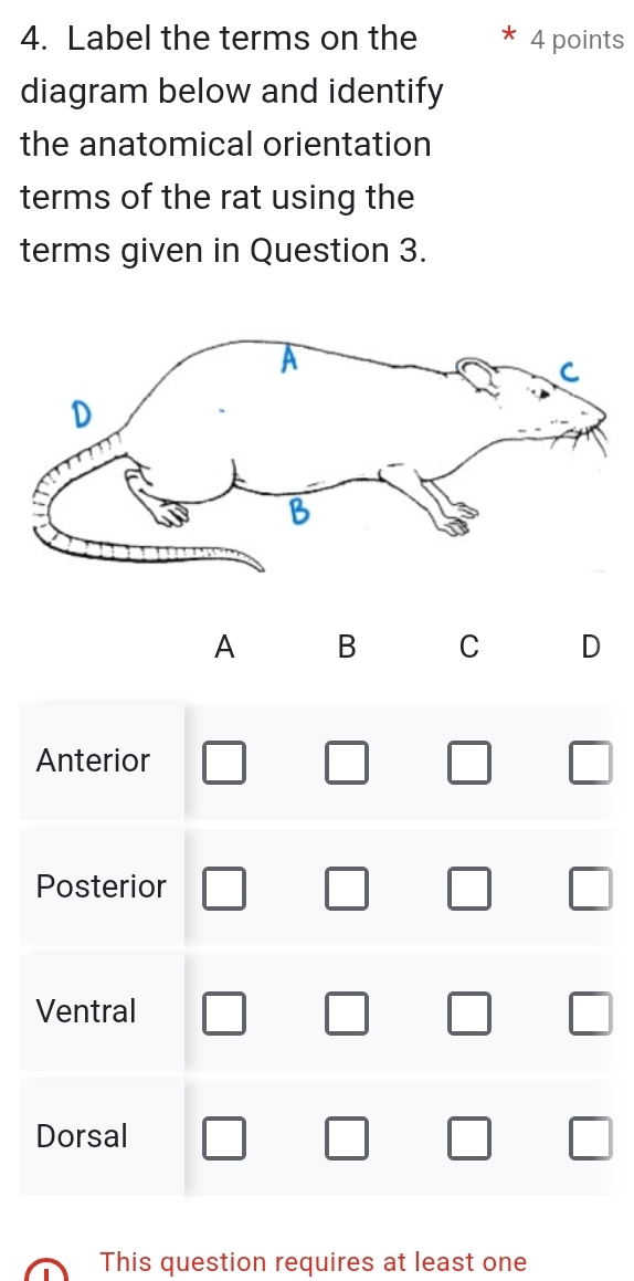 Label the terms on the 4 points
diagram below and identify
the anatomical orientation
terms of the rat using the
terms given in Question 3.
A B C D
Anterior □ □ _  □ □
Posterior □ _  
Ventral □ □ □ 
Dorsal^- 
_  
This question requires at least one