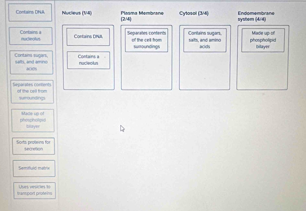 Contains DNA Nucleus (1/4) Plasma Membrane Cytosol (3/4) Endomembrane 
(2/4) system (4/4)
Contains a Separates contents Contains sugars, Made up of 
nucleolus Contains DNA of the cell from salts, and amino phospholipid 
surroundings acids bilayer 
Contains sugars, Contains a 
salts, and amino nucleolus 
acids 
Separates contents 
of the cell from 
surroundings 
Made up of 
phospholipid 
bilayer 
Sorts proteins for 
secretion 
Semifluid matrix 
Uses vesicles to 
transport proteins