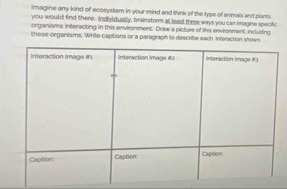 Imagine any kind of ecosystem in your mind and think of the type of animals and plants 
you would find there. Individually, brainstorm at least three ways you can imagine specific 
organisms interacting in this environment. Draw a picture of this environment, including 
these organisms. Write captions or a paragraph to describe each interaction shown,