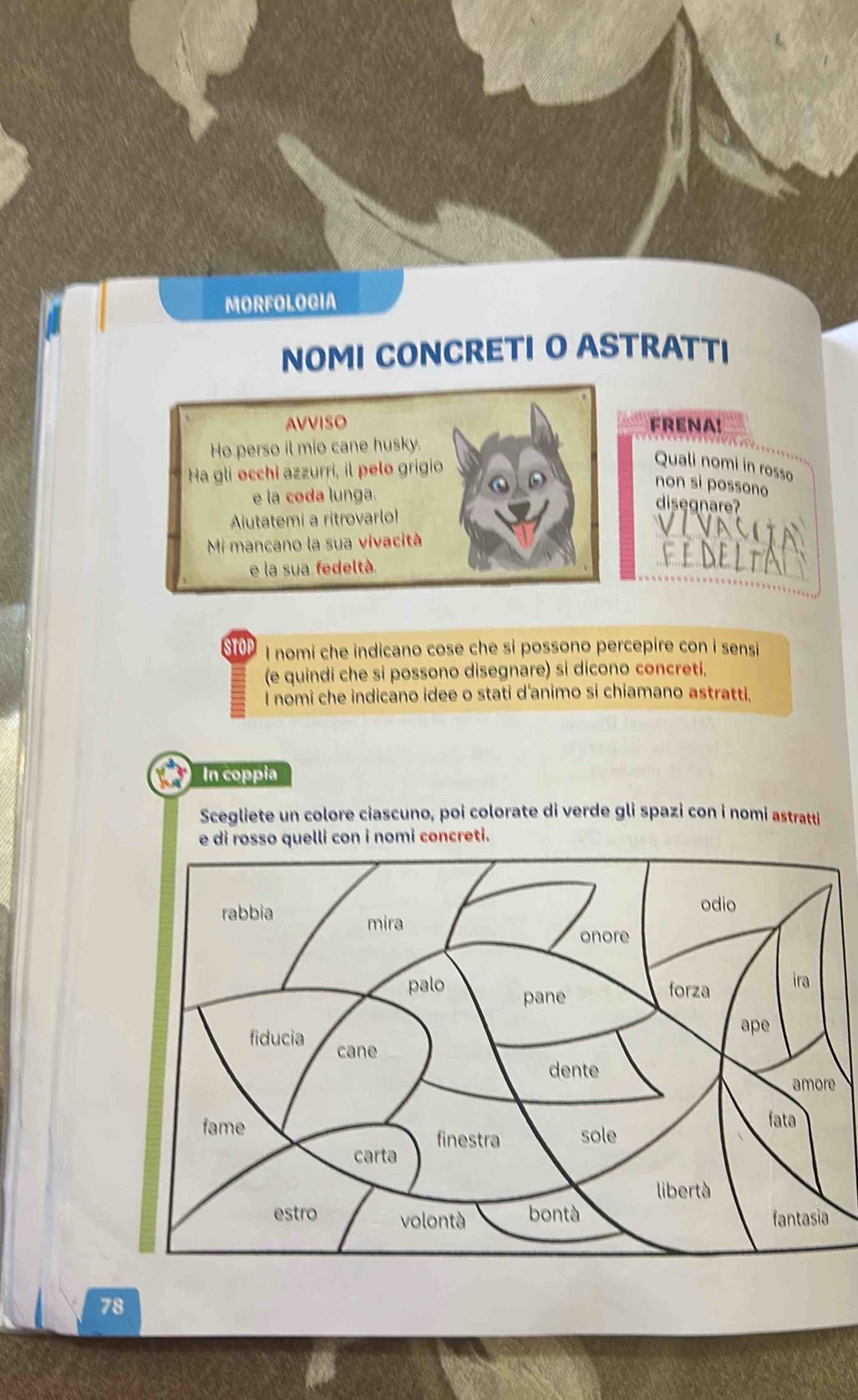 MORFOLOGIA 
NOMI CONCRETI O ASTRATTI 
AVVISO FRENA! 
Ho perso il mio cane husky. 
Ha gli occhi azzurri, il pelo grigio 
Quali nomi in rosso 
non sì possono 
e la coda lunga. 
disegnare? 
Aiutatemi a ritrovarlo! 
Mi mancano la sua vivacità 
e la sua fedeltà. 
S2 I nomi che indicano cose che si possono percepire con i sensi 
(e quindi che si possono disegnare) si dicono concreti. 
I nomi che indicano idee o stati d'animo si chiamano astratti, 
In coppia 
Scegliete un colore ciascuno, poi colorate di verde gli spazi con i nomi astratti 
e di rosso quelli con i nomi concreti. 
e
78