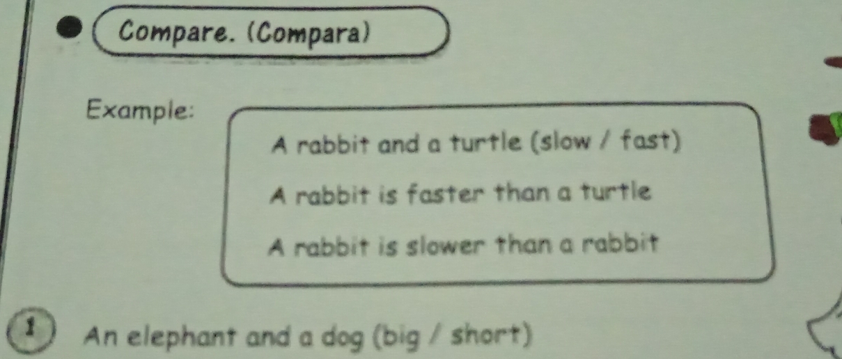 Compare. (Compara) 
Example: 
A rabbit and a turtle (slow / fast) 
A rabbit is faster than a turtle 
A rabbit is slower than a rabbit 
1 An elephant and a dog (big / short)