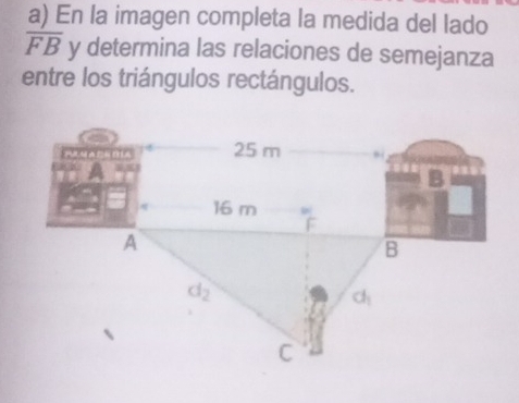 En la imagen completa la medida del lado
overline FB y determina las relaciones de semejanza
entre los triángulos rectángulos.