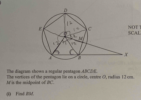 AL 
The diagram shows a regular pentagon ABCDE. 
The vertices of the pentagon lie on a circle, centre O, radius 12 cm.
M is the midpoint of BC. 
(i) Find BM.